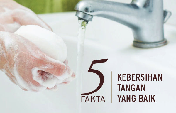 5 Fakta Tentang Kebersihan Tangan yang Baik