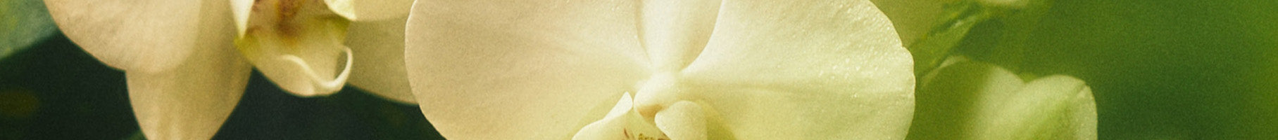Bestsellers Homepage