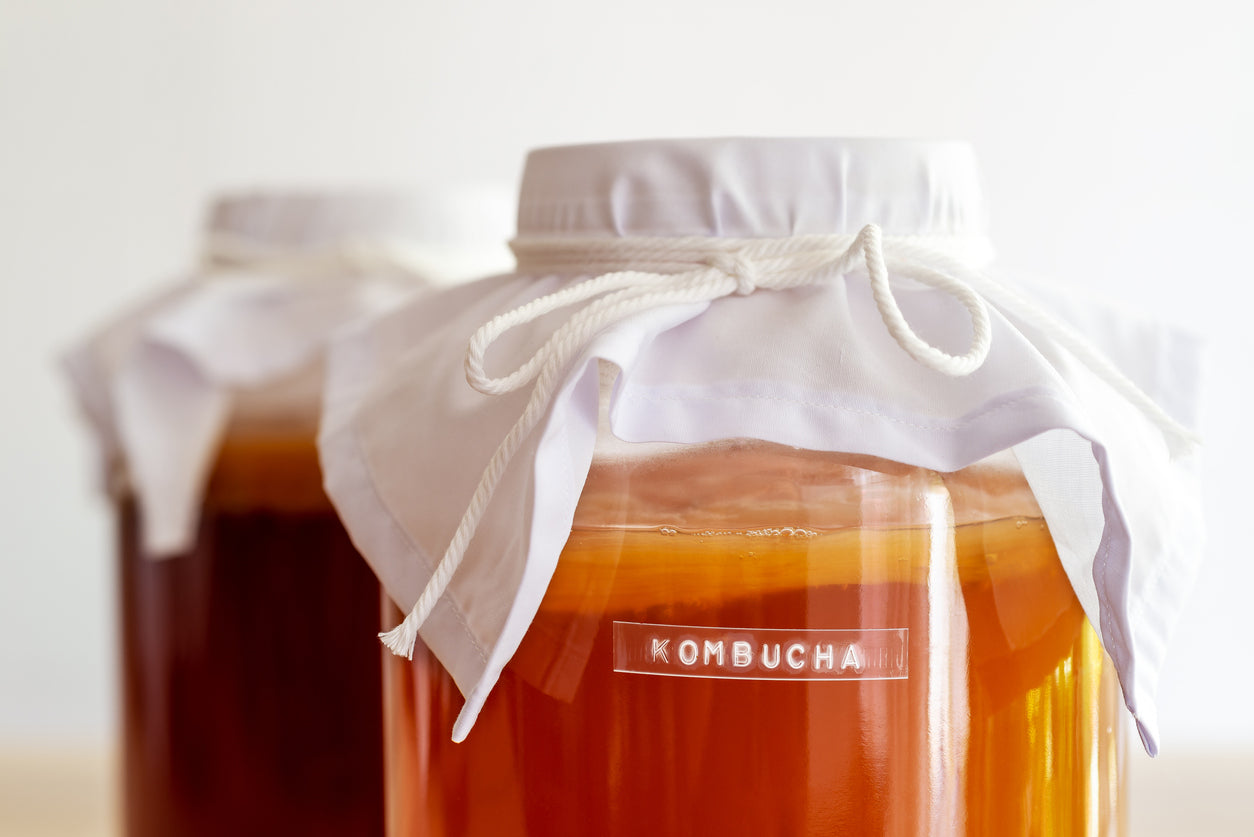 Mengenal Kombucha